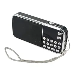 Multifunctional Portable Outdoor Speaker with Flashlight and FM Radio (Black)
