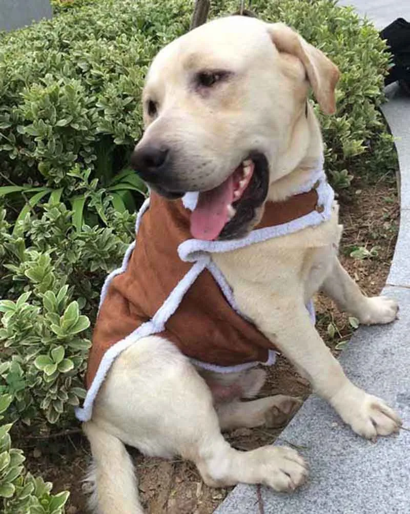 Designer Large Dog Vest Pet Clothes for Big Dogs Luxury Labrador Coat Winter Clothing For Golden Retriever Shepherd Pet Supplies5