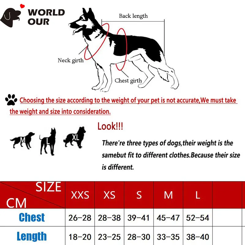 new year costume for dogs