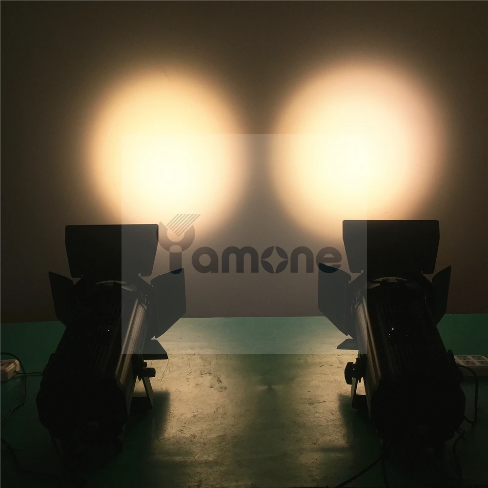 LED Fresnel 29