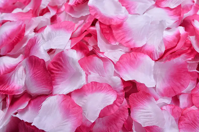 2382-22-10pcs-purplish and white-