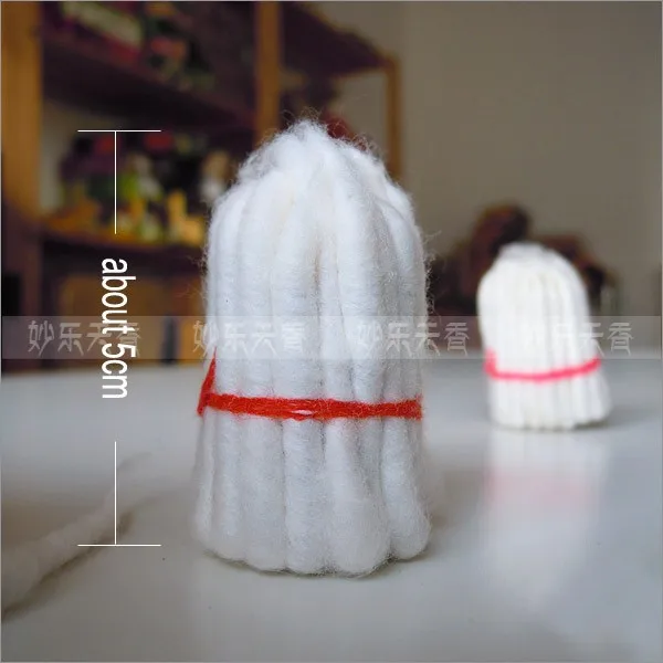 DSCN3474