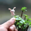 100Pcs Miniatures Fixed Pin Fairy Garden Miniatures Gnomes Moss Terrariums Resin Craft Figurines For Home Decoration ► Photo 3/6