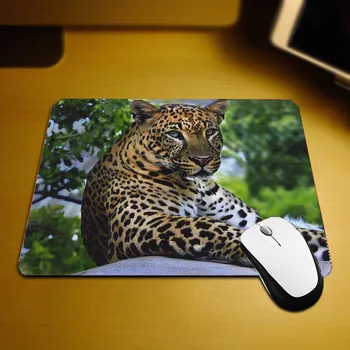 

Mairuige 220x180x2MM and 250x200x2MM Small Size Animals Mouse Pad Mice Mat for Improve Mouse Speed Pc Computer Gaming Mice Mat