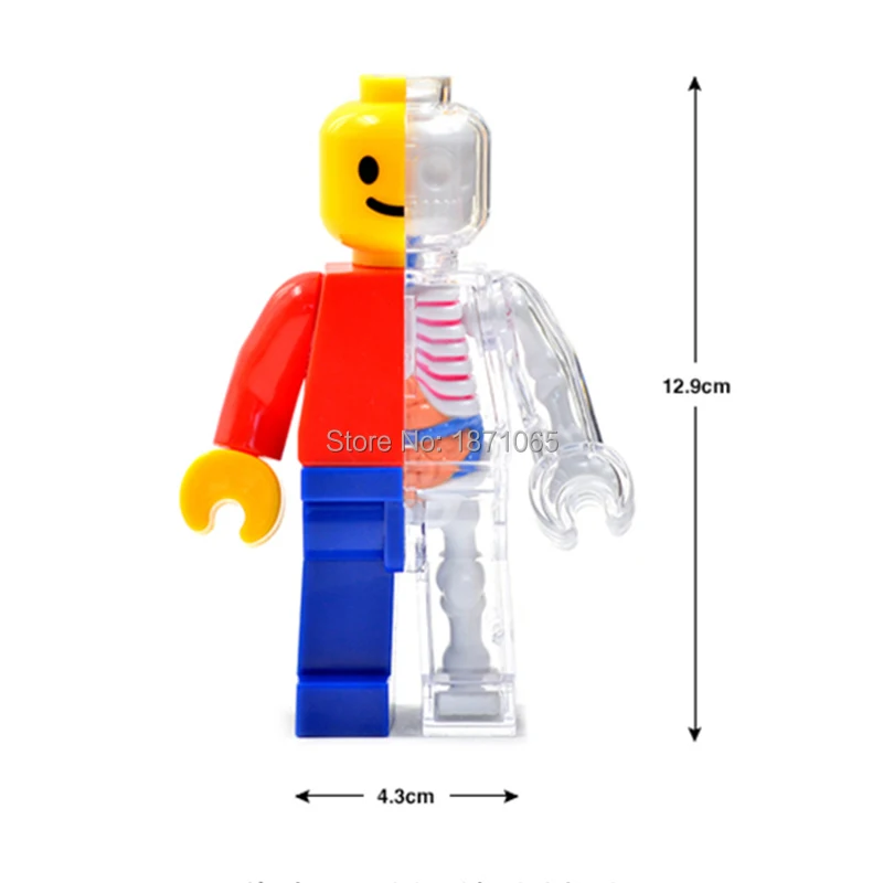 Аниме 4D мастер головоломка сборная игрушка человеческое тело орган анатомическая модель наука медицинская обучающая фигурка модель