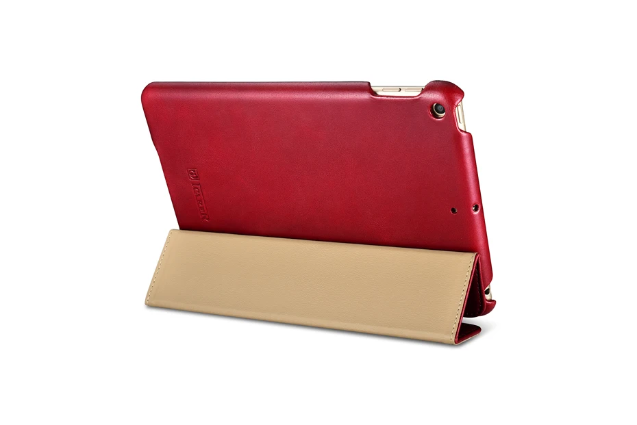 iPad mini 5  Vintage Series(2019)-021