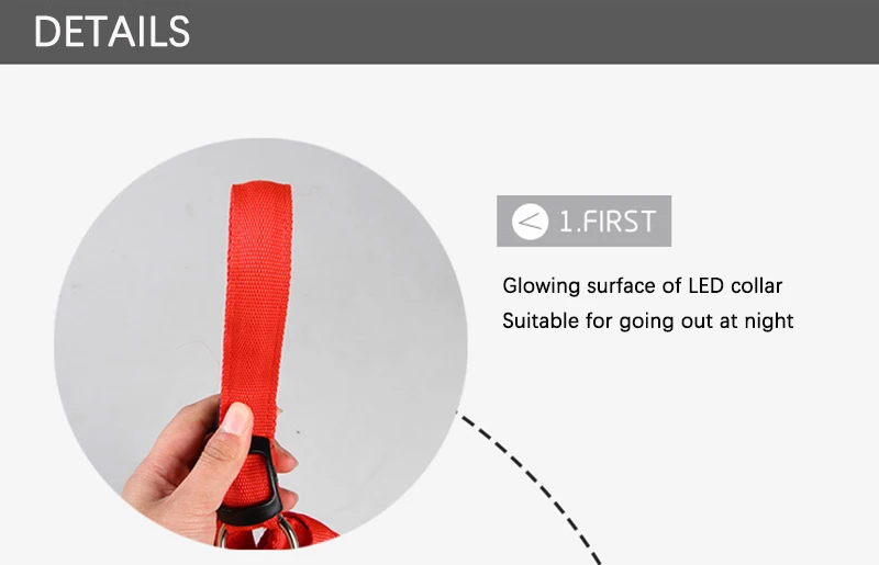 7 Color Pet Led Collar Vest Dog Harness Leads Adjustable Breathable Safety Leash Pet Dog Accessories (5)