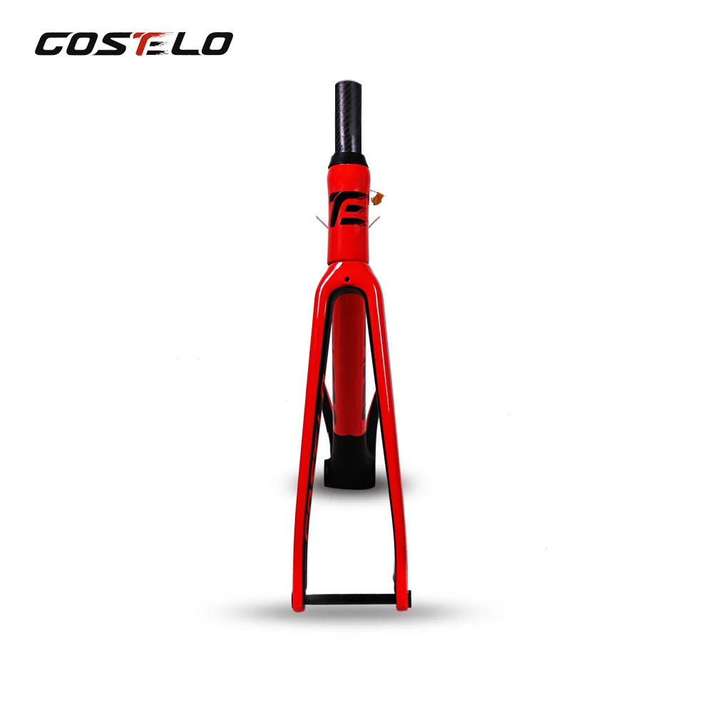 Perfect Costelo Rio 3.0 DISC Brake Thru Axle ROAD BIKE Disc carbon road bicycle frame fork seatpost headset with H11 handelbar 140 rotor 6