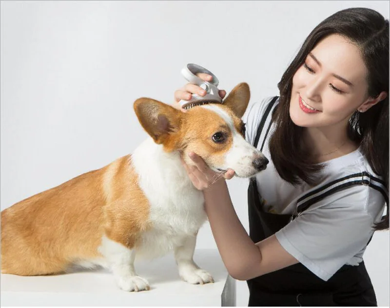 QQ20180827180130