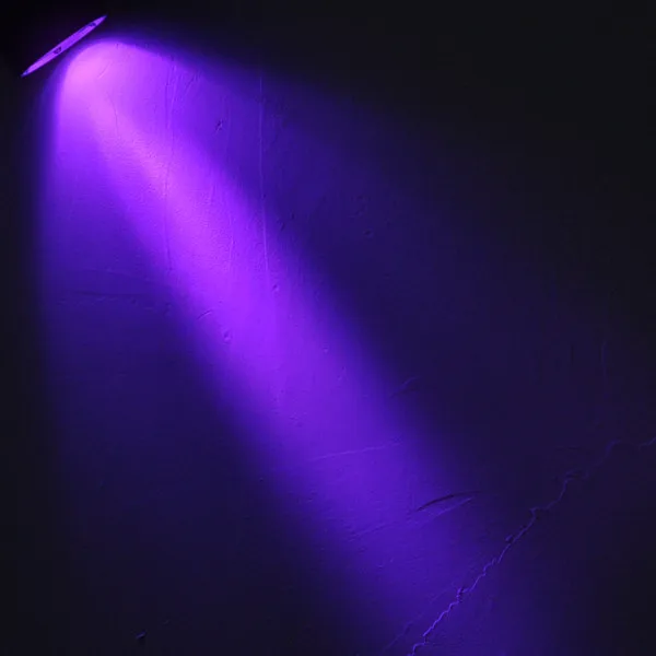 613