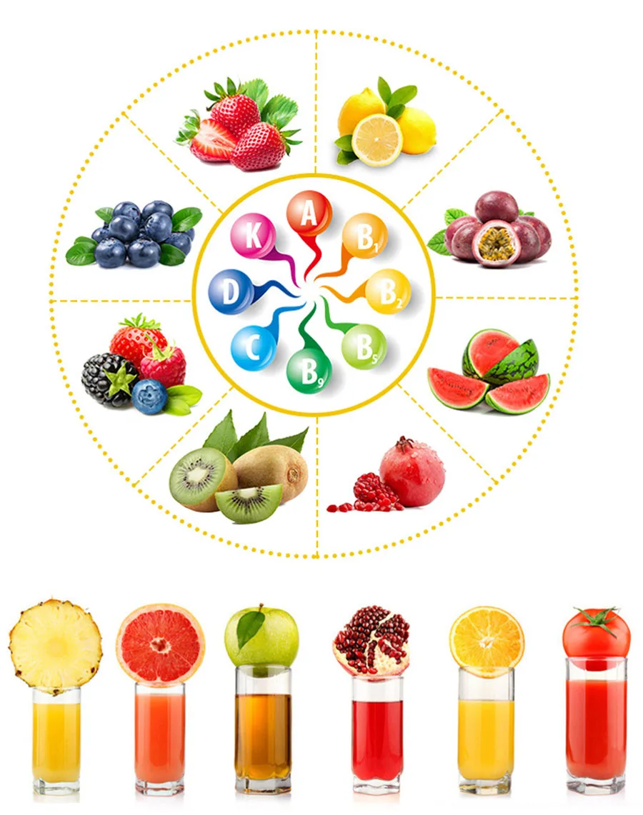 Manual juicer pomegranate juice squeezer pressure lemon sugar cane juice H0032