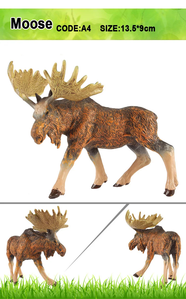 MOOSE