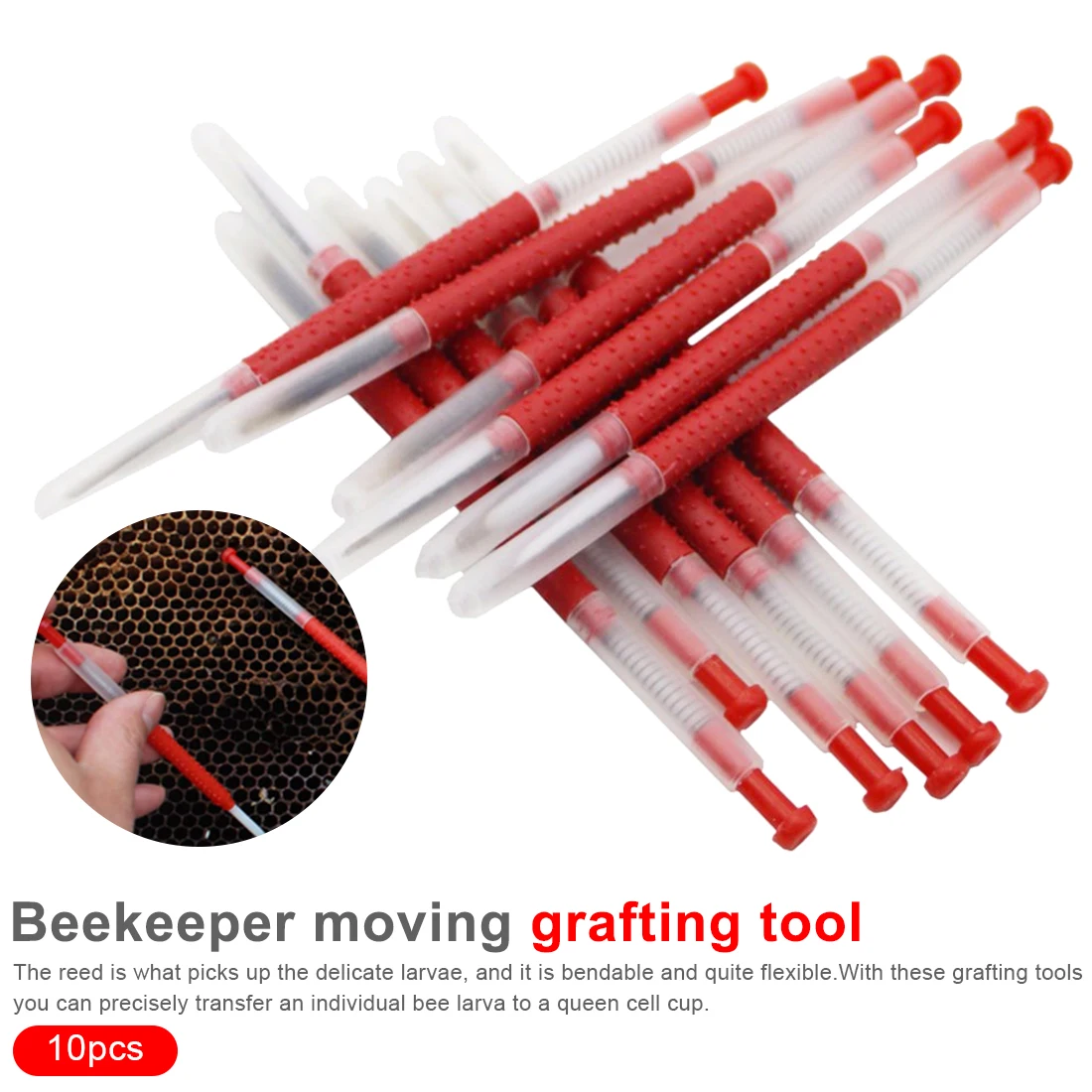Тонкая секция пчеловодства движение червей иглы пчелы оборудование пыльца оборудование пчеловодства 10 комплектов