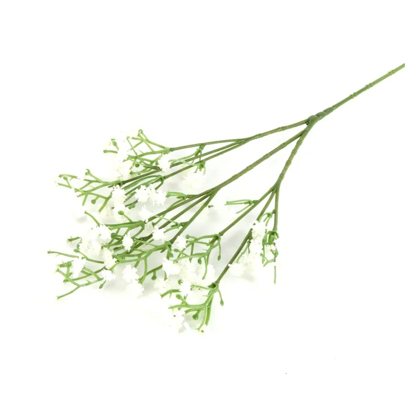 RL0074W (6)