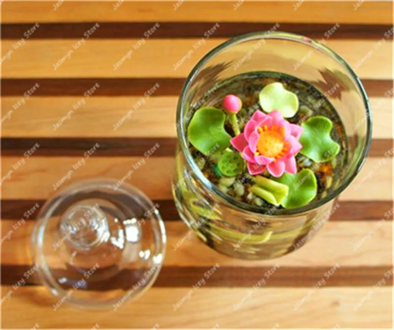 5 Pcs/Lot Mini Lotus Flower Aquatic Bonsai Plants Bowl Lotus Water Lily Flores Perennial Plant Pooted for Home Garden Decoration 5 Pcs/Lot Mini Lotus Flower Aquatic Bonsai Plants Bowl Lotus Water Lily Flores Perennial Plant Pooted for Home Garden Decoration