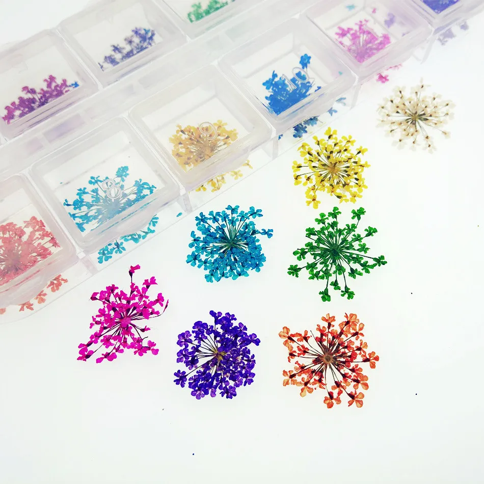 

1box 36pieces 1-2cm mini natural Gypsophila Pressed flower Dried flowers glass globe filler charms jewelry making