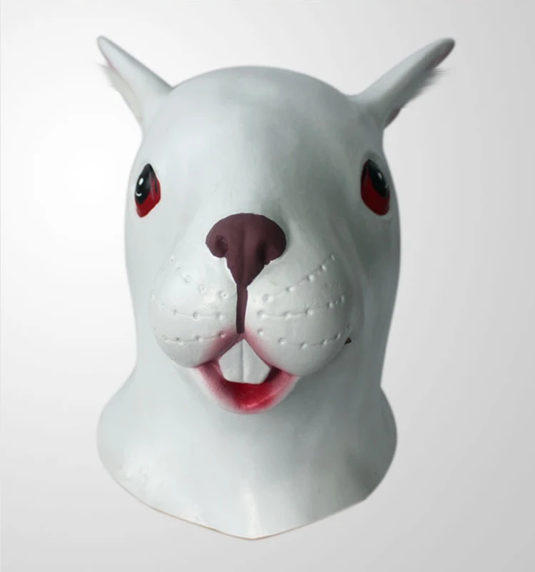 Rabbit mask11