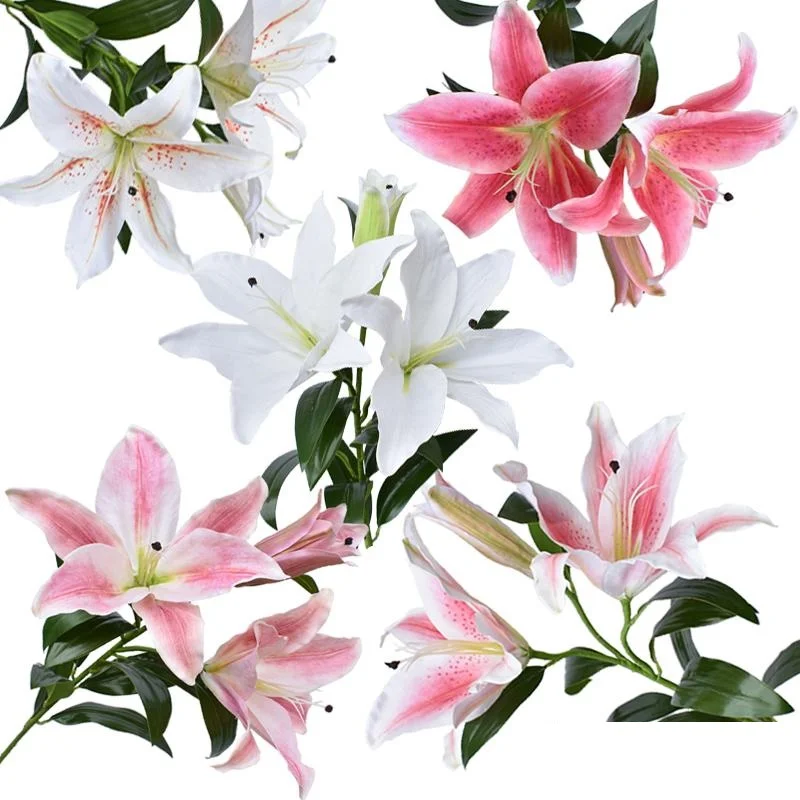 Amosfun 3pcs s/éch/ées Fleur de Roseau Naturelles Fleurs s/èches Petite Herbe de Pampa Fleurs s/éch/ées Bouquet pour Bureau /à Domicile de Mariage de no/ël d/écor Rose