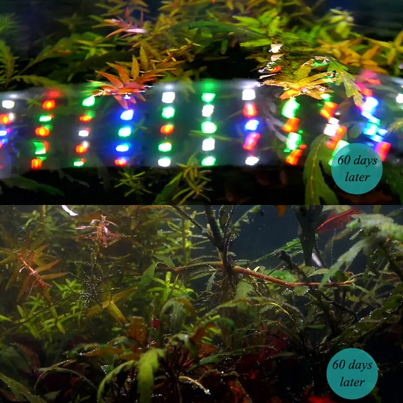 Chihiros WRGB серии аквариумное светодиодное освещение для водных растений, лампа для выращивания, имитация восхода, заката, серебристого цвета