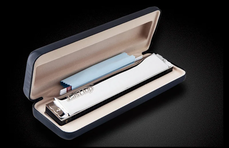 harmonica instrument