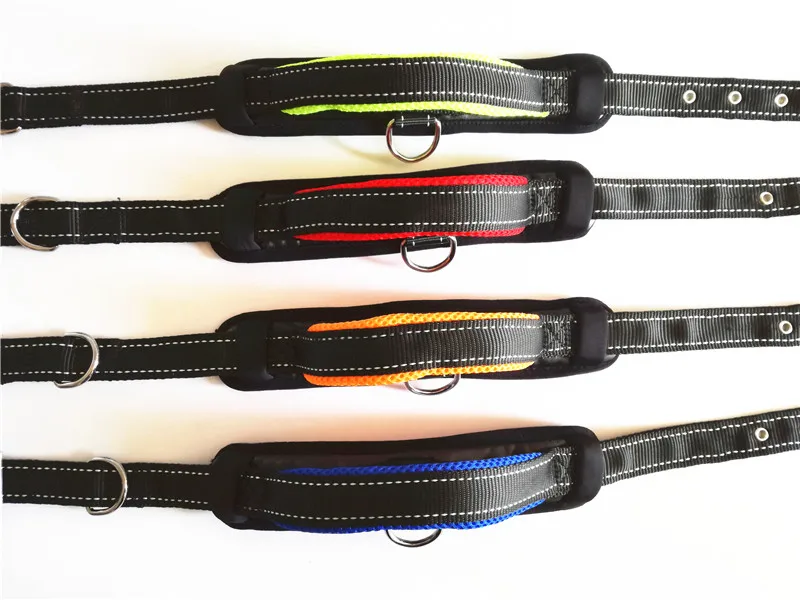 Dog Collar and Leash Set (19)