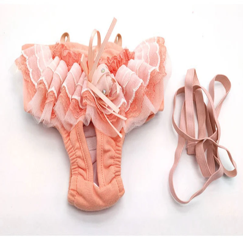 

New Arrival Cute Dog Hygiene Pants Pet Underwear Diaper Dog Puppy Diaper Pants Bow Short Panty Nappy Underwear Dogs Clothes