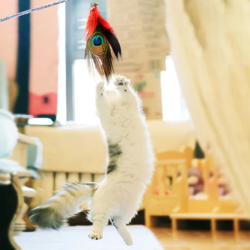

Cat Teaser Feather Toy 3 Replaceable Detachable Interactive Exerciser Wand for Cat and Kitten