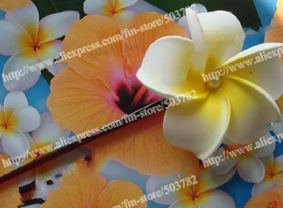 100 шт Гавайская Пена Цветок плюмерии шпилька смешанный цвет Франгипани цветок шпилька