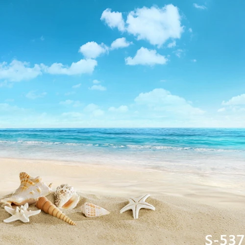 8x12 FT Starfish Vinyl Photography Background Backdrops,Ombre Inspired Design in Bold Thin Colors Bands Hand Drawn Starfishes Circles Background for Photo Backdrop Studio Props Photo Backdrop Wall