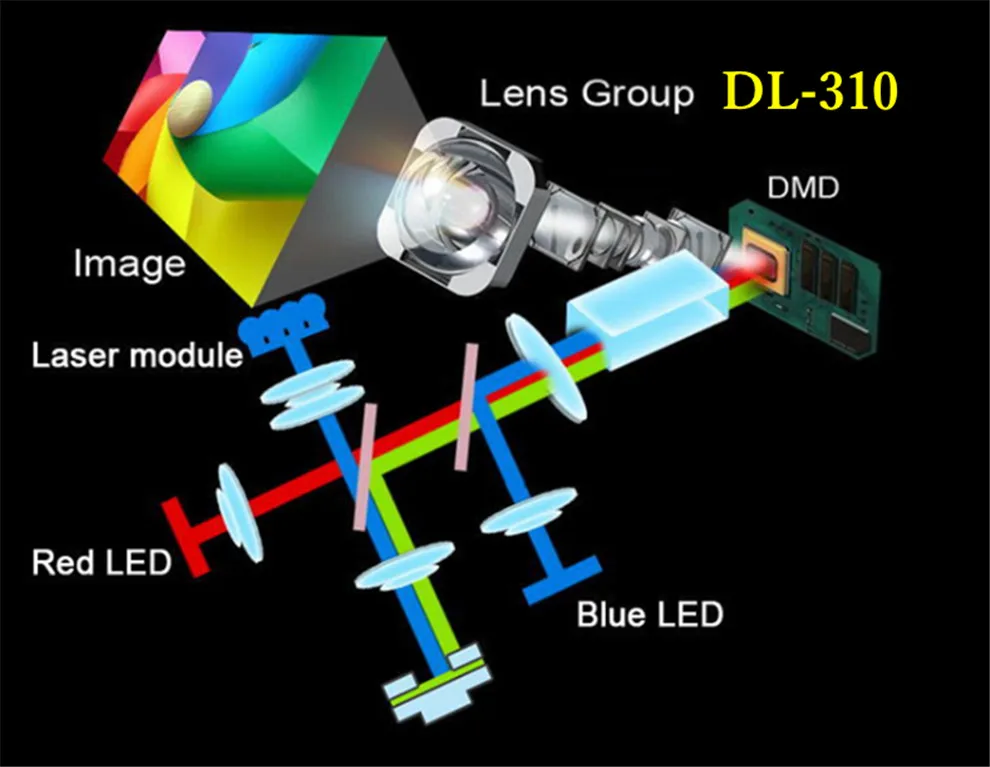DL-310_2