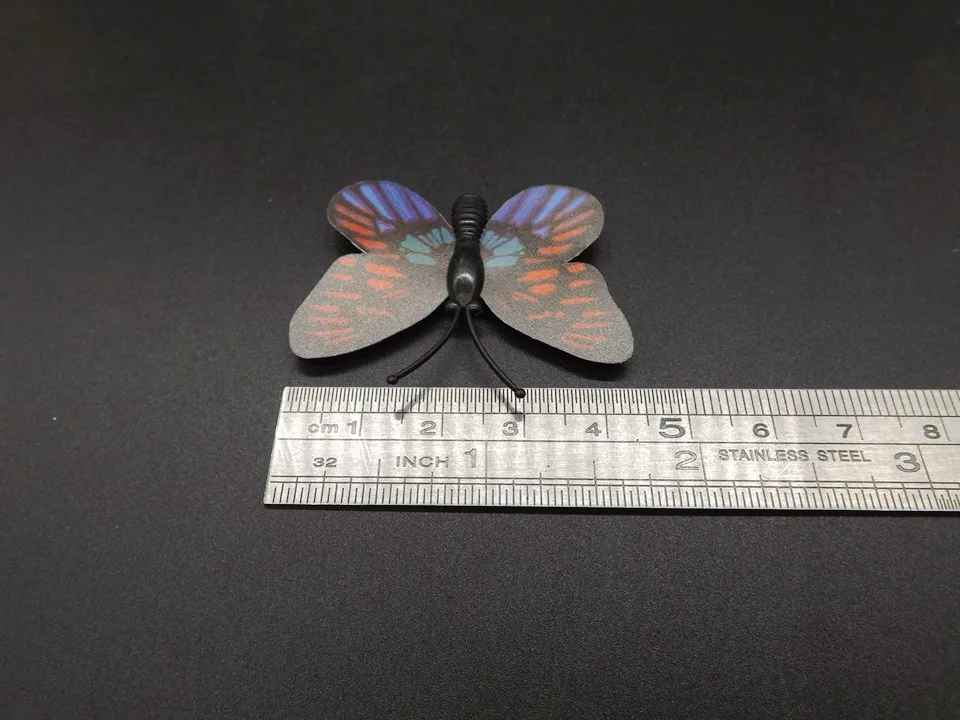 I246-Butterfly (12)