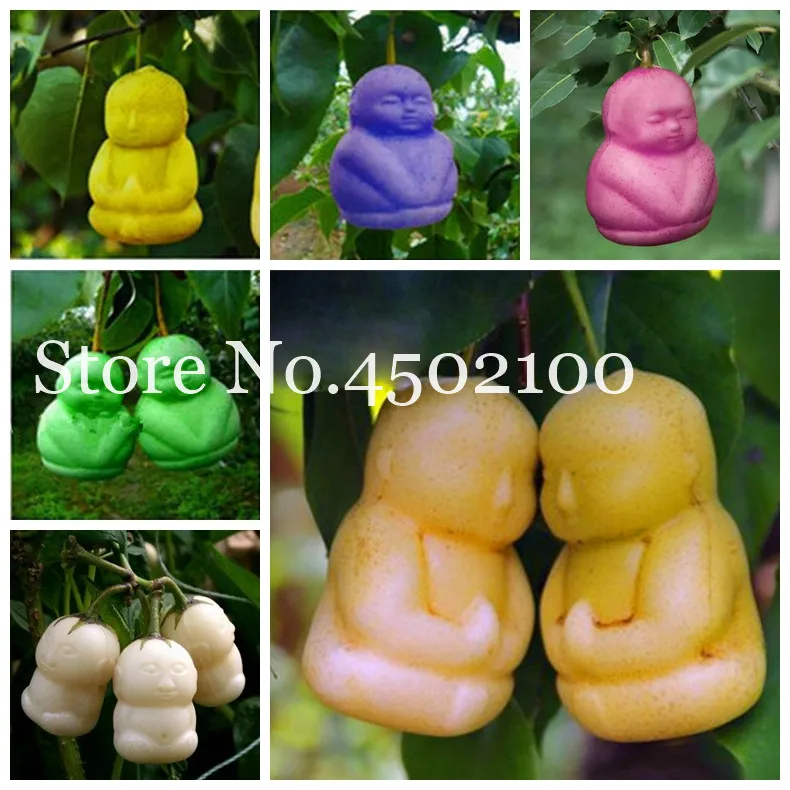 

30 Pcs Rare Mini Pear Bonsai Ginseng Fruit Delicious Asian Pear Bonsais For Home Garden Pot Plant Shape Like Child Easy To Care