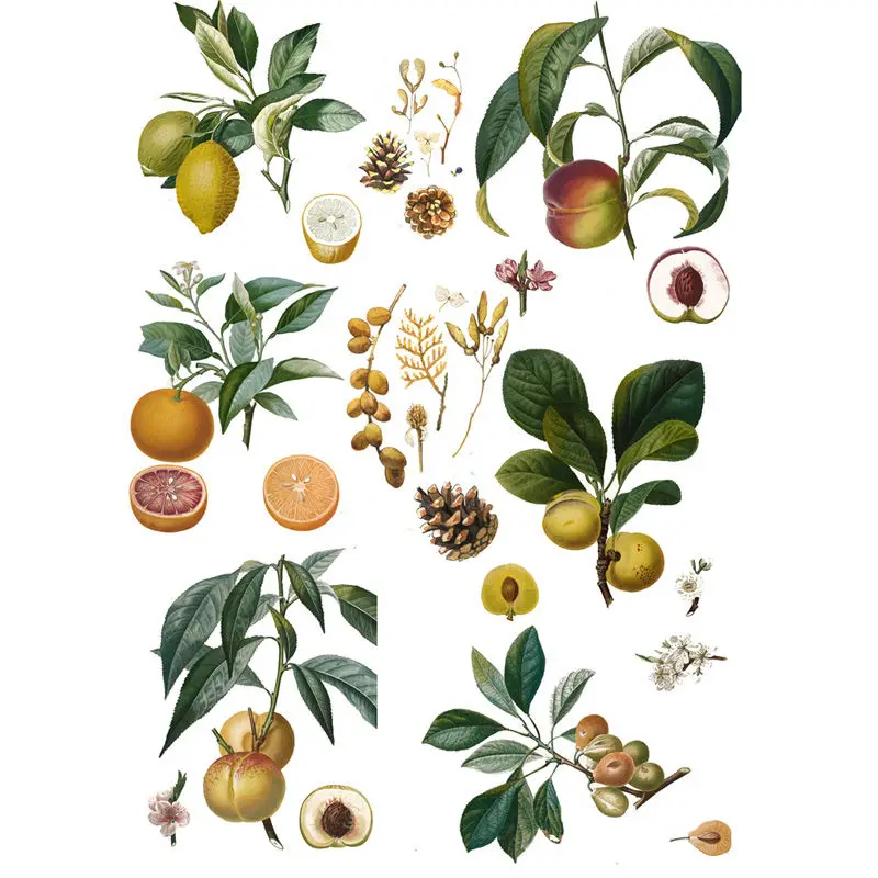 2 шт./лот зеленый плодовых деревьев украшения: Mohamm планировщик подельные СТИКЕРЫ