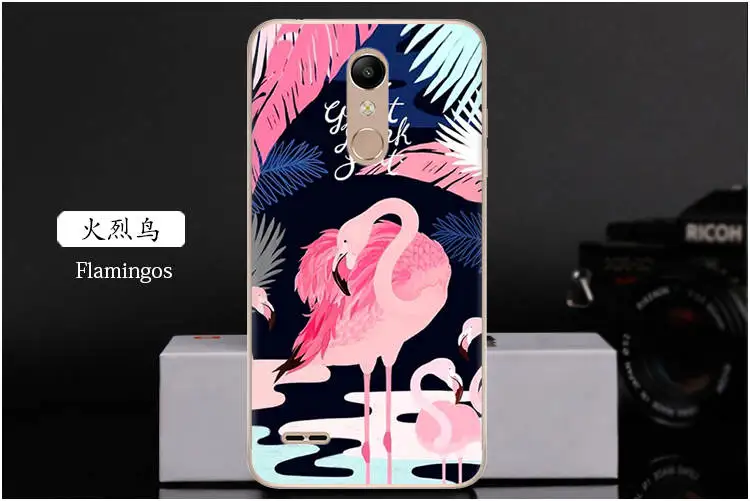  Flamingos