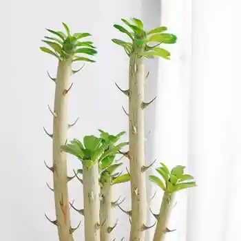 

Nodic Home Indoor Hotel Resturant Desktop Decoration Artificial Barbed Cactus Decoracion Plants Fake Plastic Plant Leaves