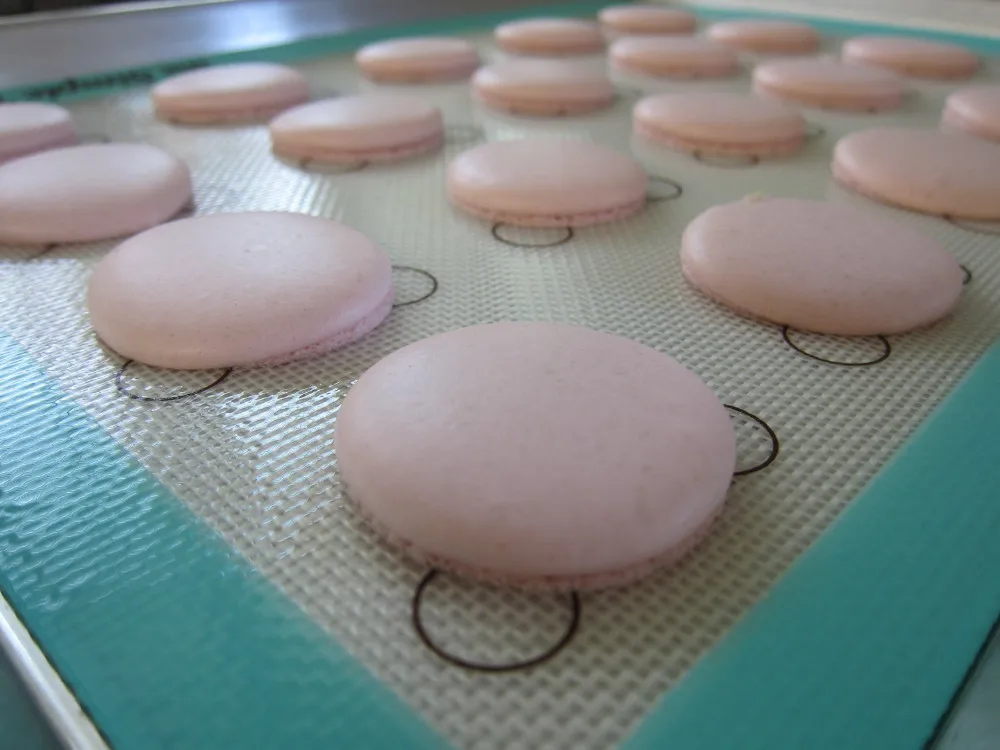 Silicone Baking Mat for Macarons (12)