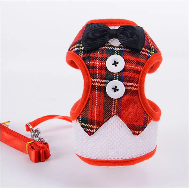leash for dog (12)
