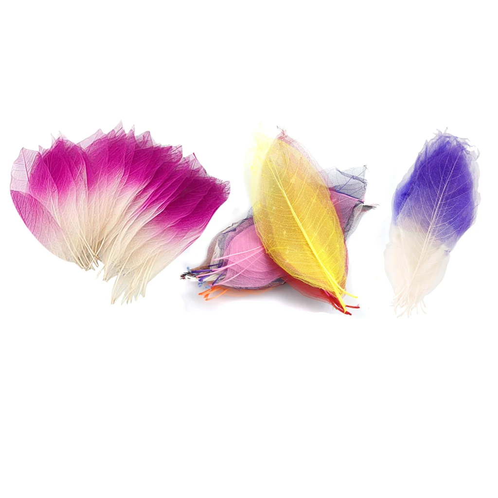 

150 Pieces Natural Magnolia Skeleton Leaves Embellishments for DIY Scrapbooking