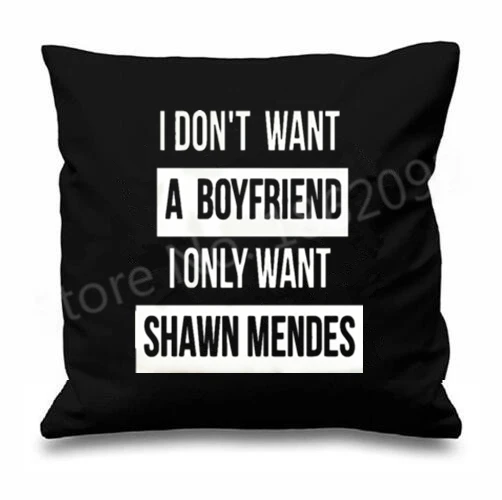 novelty funny shawn mendes