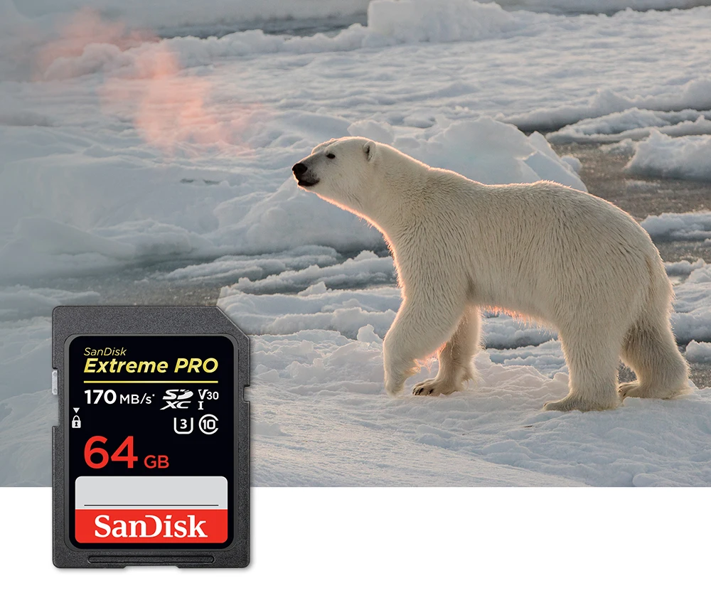 SanDisk Extreme PRO Memory Card SD card 64GB 512GB 128GB 256gb 32gb Memory Card U3 4k High Speed Class 10 170MB/s V30 for camera