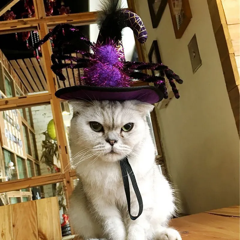 Hoomall Забавный костюм для костюмированной вечеринки кошки на Хэллоуин крылья