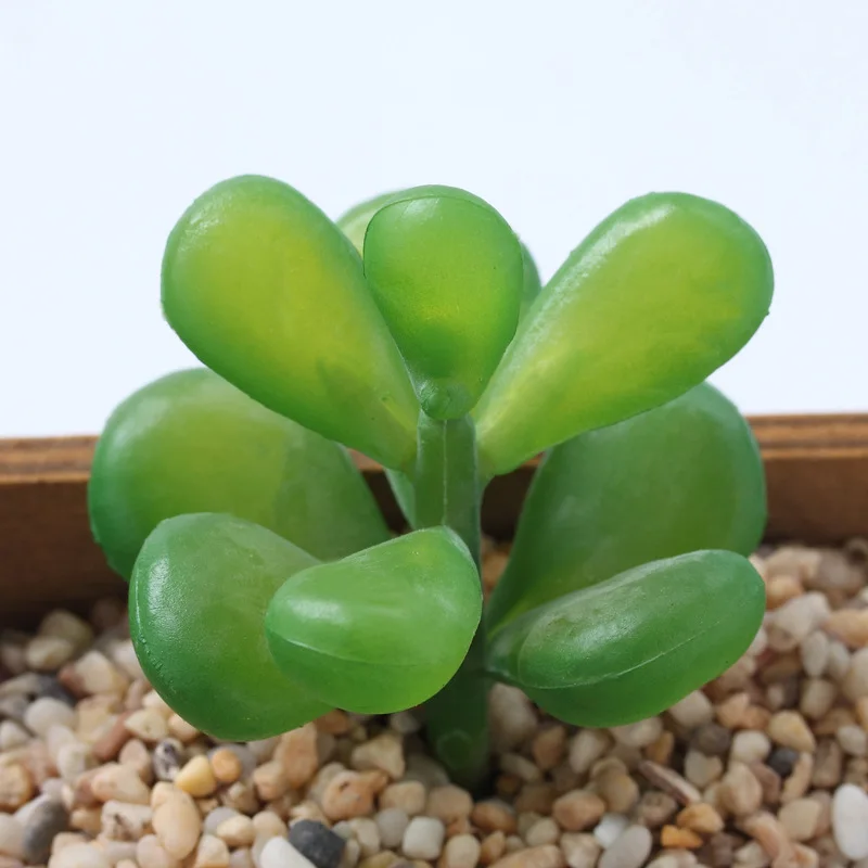 

1pcs Prickly Pear Model Building Kits Simulation Plant Toys Adventure Set Toys Educational Kids Gifts Model Compatible