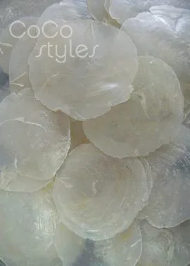 shell (13)