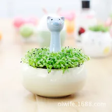 Recommended Keeper explosion models cute animal flowerpot Creative Desktop mini potted plants Factory Direct