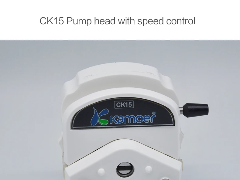 CK15_01