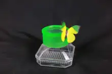 Boîte de développement des capacités, visionneuse unisexe, livrée avec une lentille en verre transparent, alimentation des Reptiles, respirant pour enfants, 2021