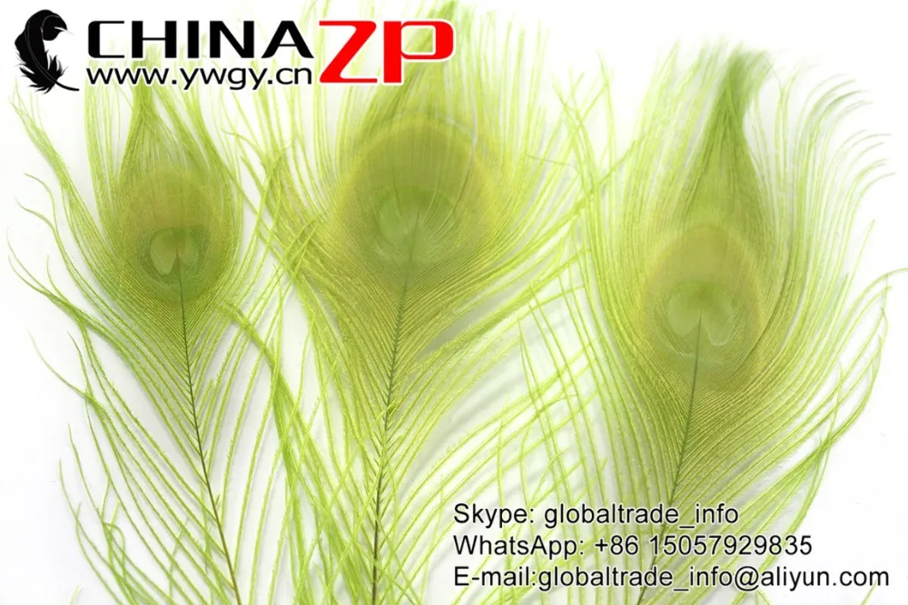 Lime Green Peacock Feathers (5)
