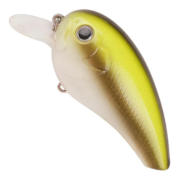 NF002