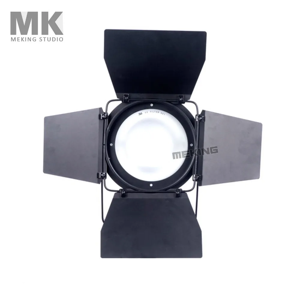 Meking 250w 110v 5600K студия Fresnel фотография камеры видео свет с Bulilt-in для