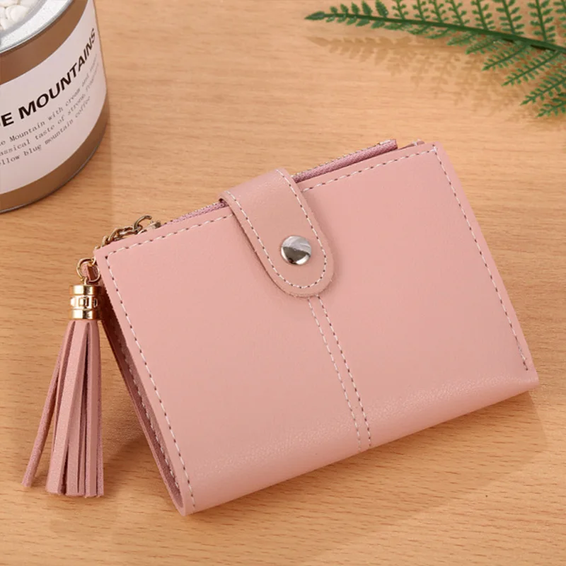 coin purse (2)